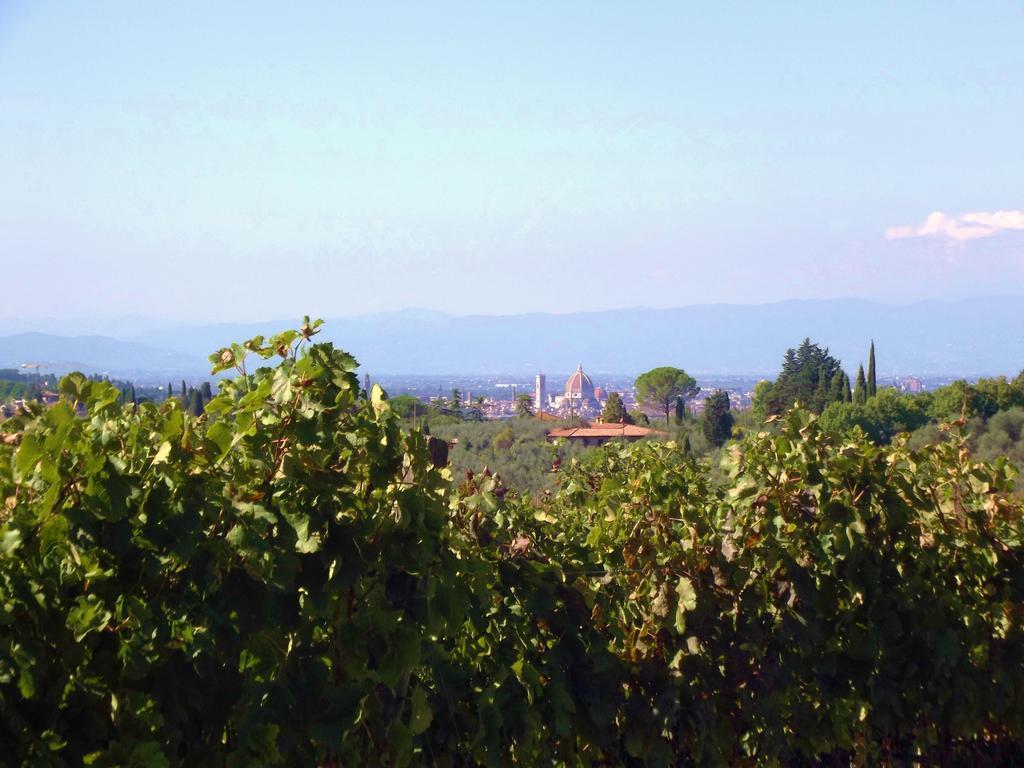 Le Civette Country Resort Bagno a Ripoli Exteriör bild